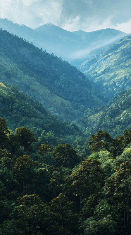 lush green mountain valley nature 4k wallpaper