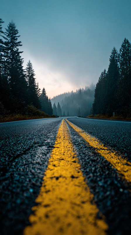 misty forest road 4k free wallpaper download